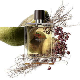 Terre d’Hermès Eau Intense Vétiver Eau de Parfum per uomo 100ml scatolato