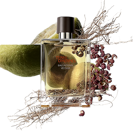 Terre d'Hermès Eau Intense Vétiver Eau de Parfum per uomo 100ml scatol